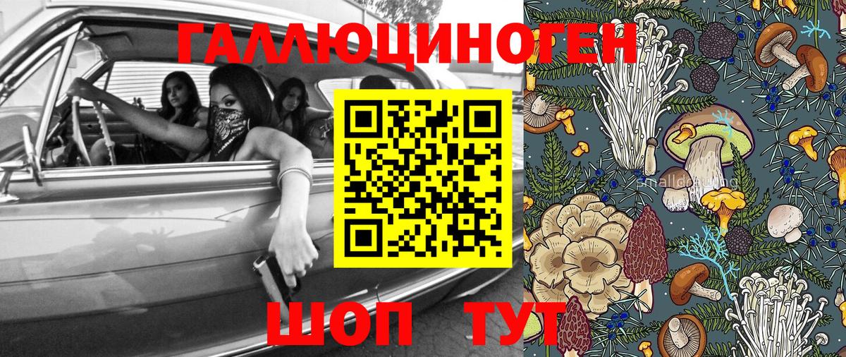 Галлюциногенные грибы Cubensis Южноуральск