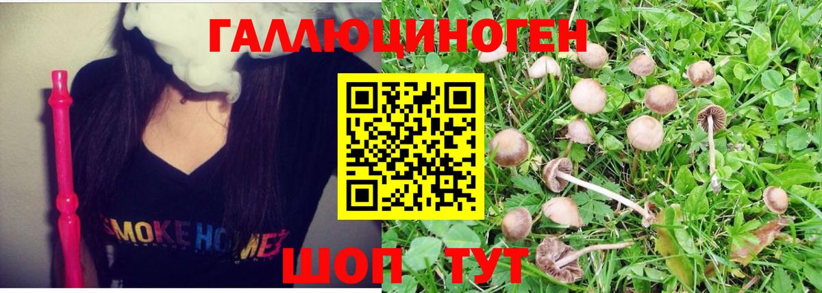 Галлюциногенные грибы MAGIC MUSHROOMS  Псилоцибиновые грибы Psilocybe  Южноуральск  Вход с VPN 