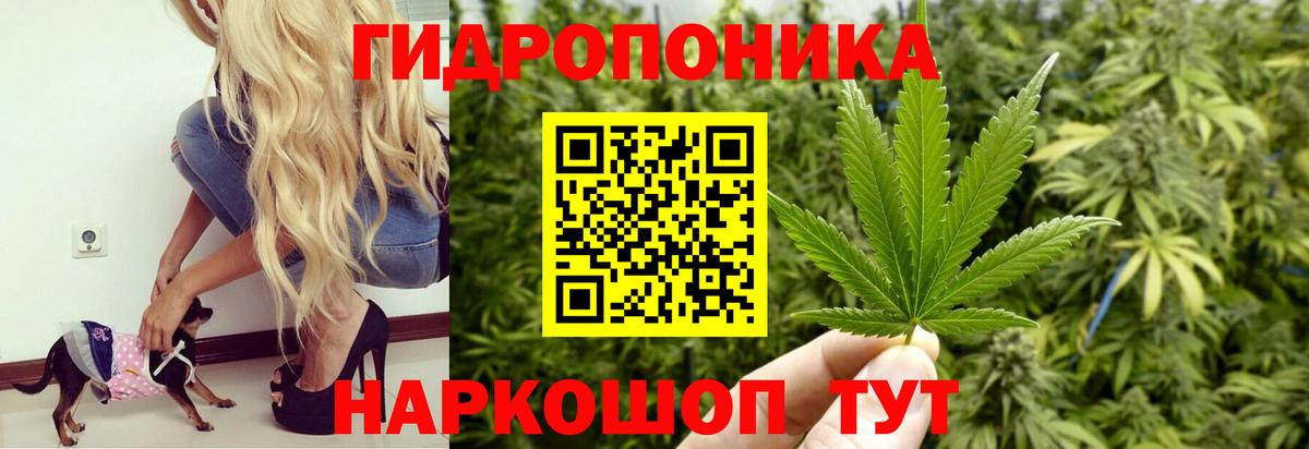 Южноуральск  Каннабис сатива  Вход с VPN  Канабис семена 